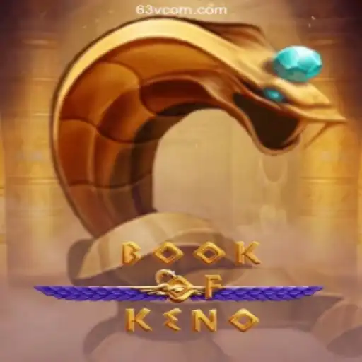 Exploring the Dynamics of BookOfKeno: A New Era in Brazilian Gaming
